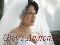 Grey's Anatomy Wallpaper Callie