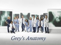 Grey's Anatomy Wallpaper Cast #1