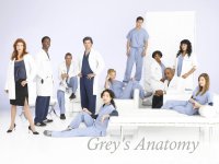 Grey's Anatomy Wallpaper Cast #3
