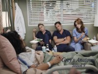 Grey's Anatomy Wallpaper Cast #5