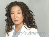 Grey's Anatomy Wallpaper Cristina #2