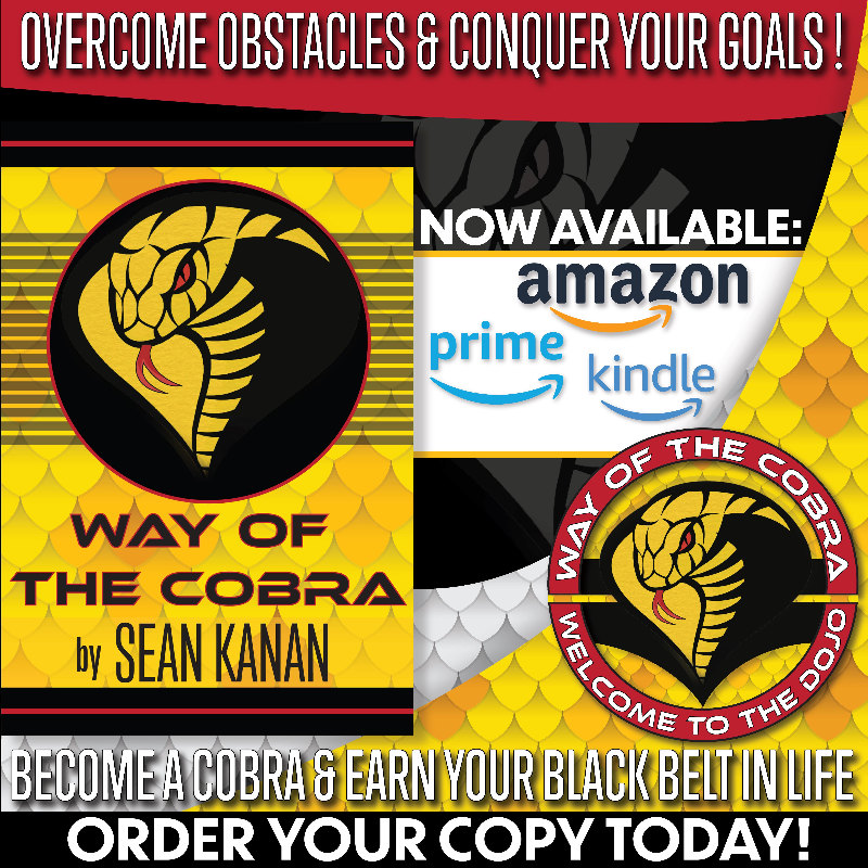 Buy Sean's book "Way of the Cobra"